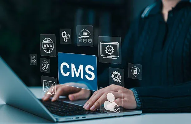 Wordpress Development cartelplanet technologies